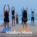 Rishikul Yogshala - photo 6