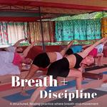 Rishikul Yogshala - photo 8