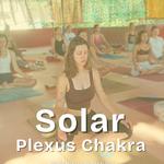 Rishikul Yogshala - photo 10