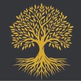 Goldtress - Manufacturer in Ahmedabad