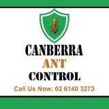 Canberra Ant Control