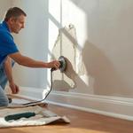 Orlando Painter - photo 1