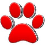 GUTTERDOGS Affordable Soft Power Washing & Safe Roof Cleaning - Home Cleaning in Forestville