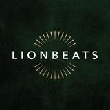 Lionbeats | Auckland Wedding Photographer & Videographer - Photographers in Auckland