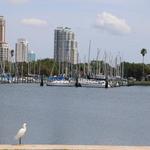 Gulfcoast Ultrasound Institute - photo 2