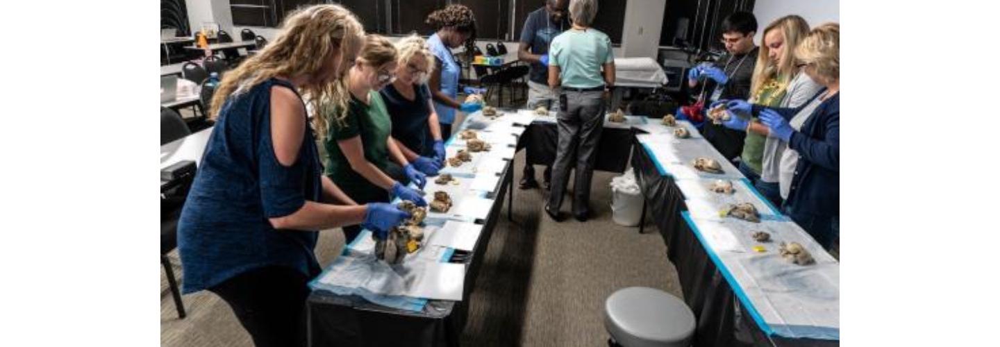 Gulfcoast Ultrasound Institute cover photo