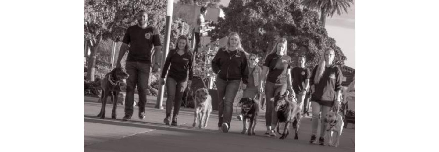 Off Leash K9 Southern CA cover photo