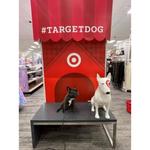 Off Leash K9 Southern CA - photo 2