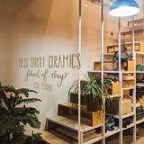 School of Clay Ceramics School