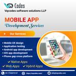 Vqcodes Software Solutions LLP - photo 1