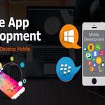 Vqcodes Software Solutions LLP - photo 8