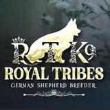 Royal Tribes K9 - Pet/Animal Breeders in Upland