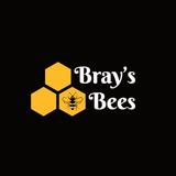 Bray's Bees - Local Services in Aylesford