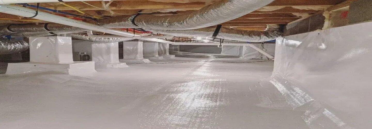 Crawl Space Mold Remediation Services in Boston, GA cover photo