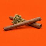 Atomic Herb - photo 3