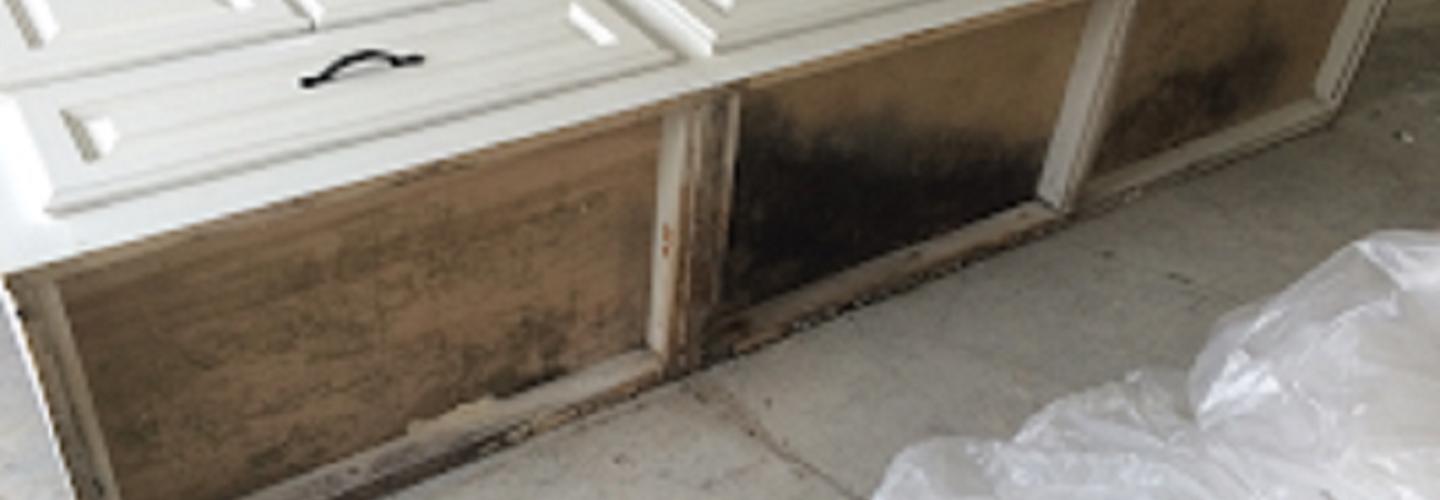 BCS Water Restoration cover photo