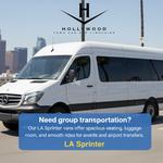 Hollywood Town Car and Limousine - photo 2