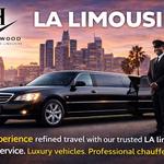 Hollywood Town Car and Limousine - photo 3