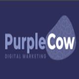 Purple Cow - Marketing in Scarborough