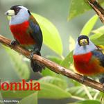 Rockjumper Birding Tours - photo 2