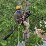 ACE Tree Service - photo 1