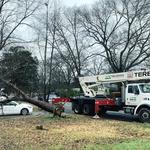 ACE Tree Service - photo 3