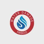 Water Damage Frisco - photo 1
