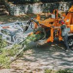 Common Ground Tree Service - photo 7