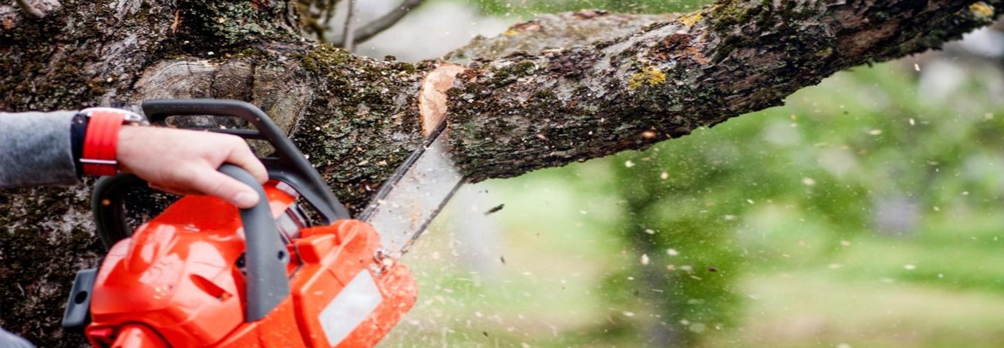 Artisan Taille Nature cover photo