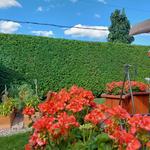 Artisan Taille Nature - photo 3