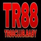 tr88clubbaby3 - Homeowner Association in Aspen