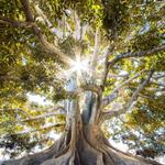 Emerge Wellness - photo 1