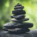 Emerge Wellness - photo 7