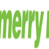 Merry Maids of Buda - Home Cleaning in Buda