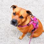 Expander Company Limited - photo 3