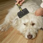 Expander Company Limited - photo 4