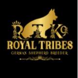 Royal Tribes K9 - Pet/Animal Breeders in Indian Wells