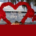 Orlando Proposal Packages - photo 1