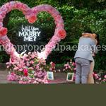 Orlando Proposal Packages - photo 2
