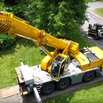 Stumpy's Tree Service - photo 1