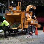 Stumpy's Tree Service - photo 2