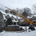 Stumpy's Tree Service - photo 3
