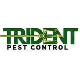 Trident Pest Control