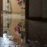 DynaClean Professional Services - photo 2