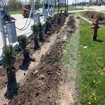 Luna Landscape Pro - photo 1