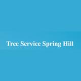 Spring Hill Tree Specialists - Business Financial Consultants in Spring Hill