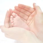 Golden IVF - photo 1