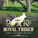 Royal Tribes K9 - Pet/Animal Breeders in La Quinta