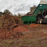 Yard Works Plus LLC - photo 4