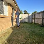 Luke’s Termite & Pest Control QLD - photo 2